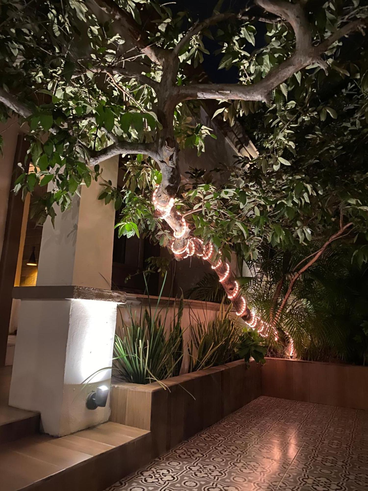 The Black Tree Hotel Colonial Mazatlán Exterior foto